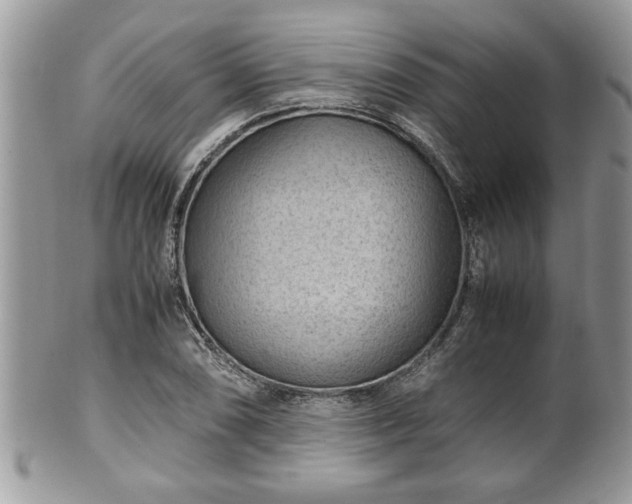 X0000101191074200807071309
