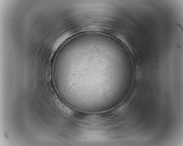 X0000101191075200807071309