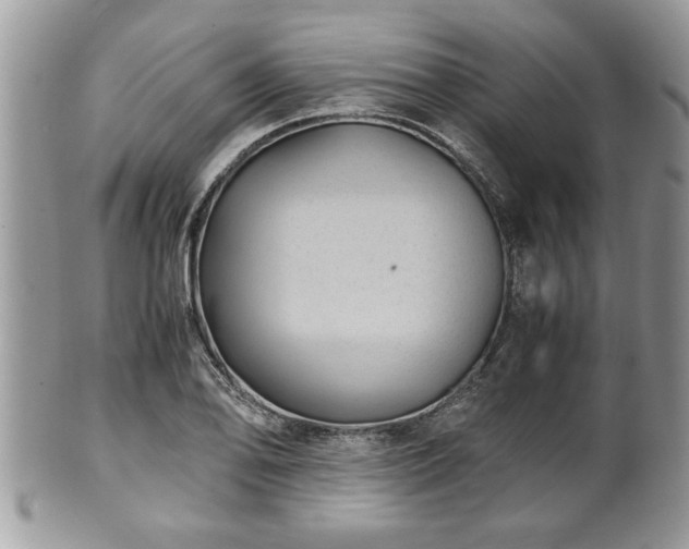 X0000101191078200807071309