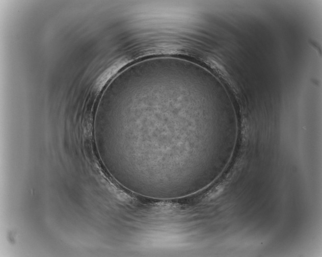 X0000101191081200807071309
