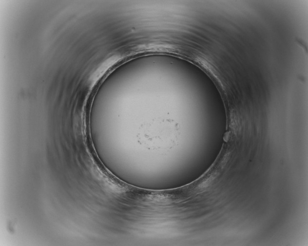 X0000101191082200807071309