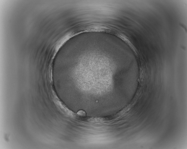 X0000101191083200807071309