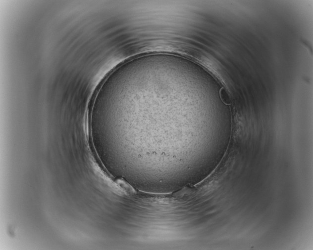 X0000101191084200807071309