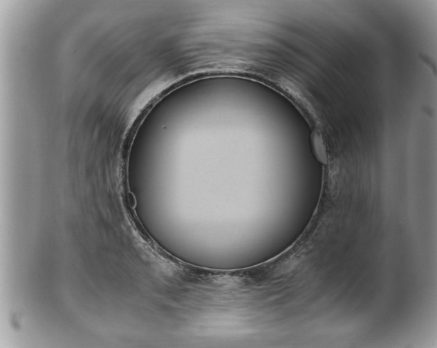 X0000101191085200807071309