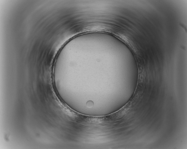 X0000101191086200807071309