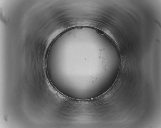 X0000101191088200807071309