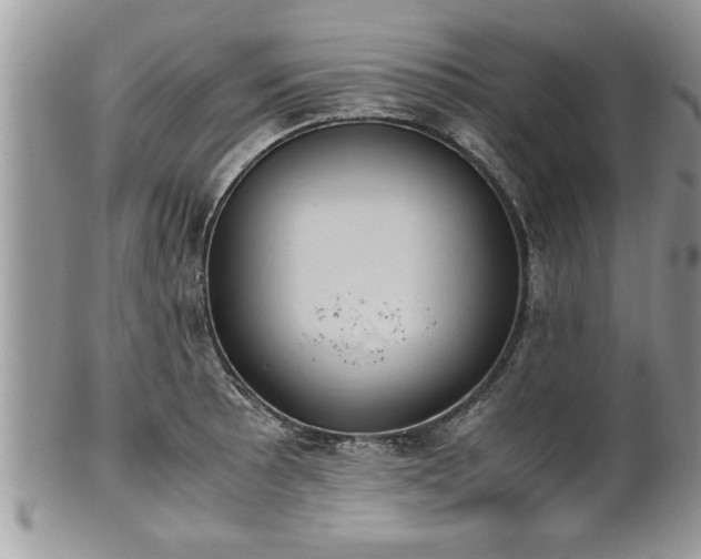 X0000101191089200807071309