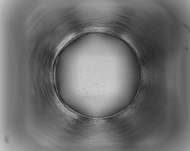 X0000101191090200807071309