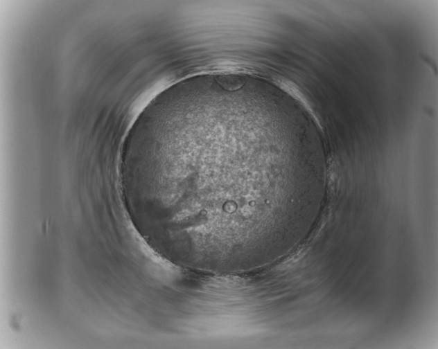 X0000101191091200807071309