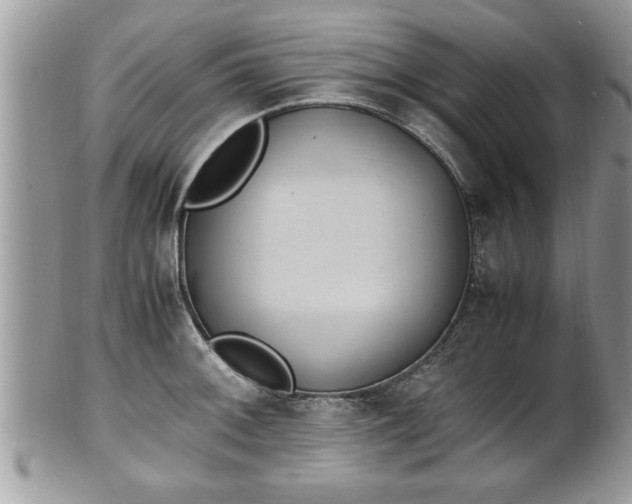 X0000101191092200807071308