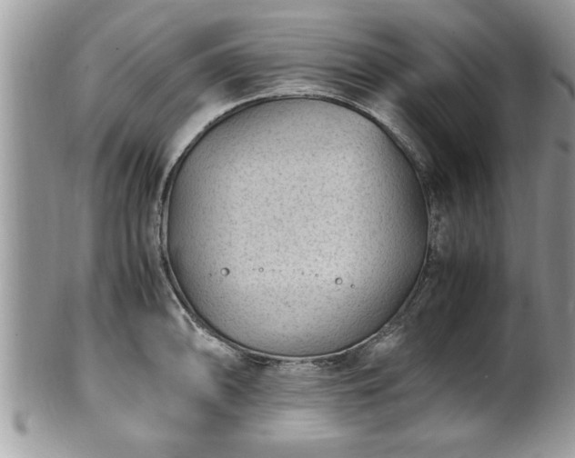 X0000101191094200807071308