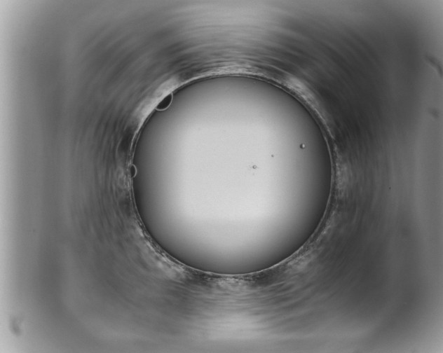 X0000101191097200807071308