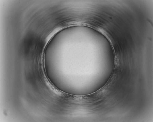 X0000101191098200807071308