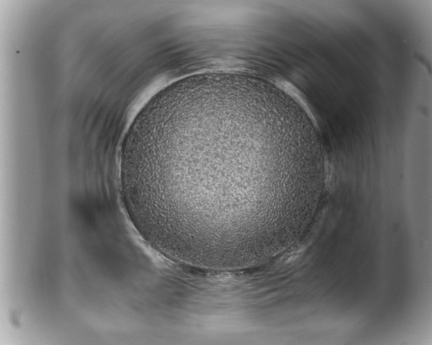 X0000101191099200807071308