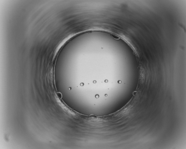 X0000101191100200807071308