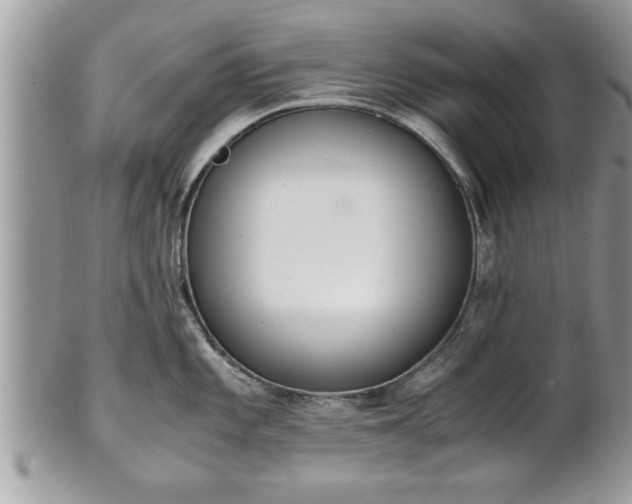 X0000101191101200807071308