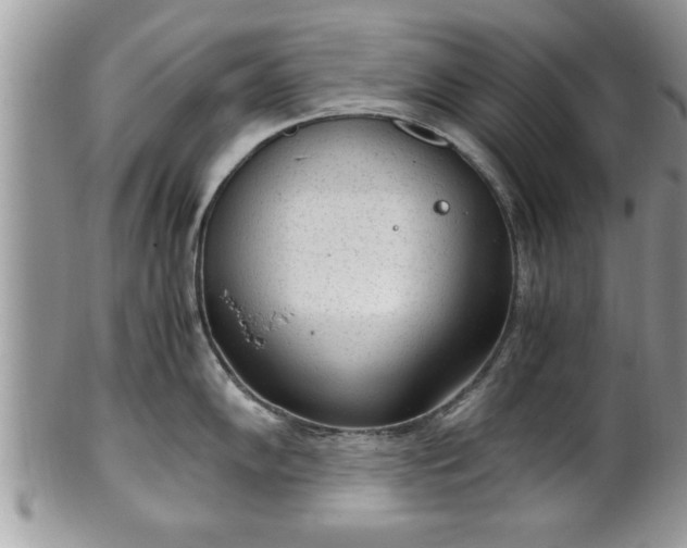 X0000101191102200807071308