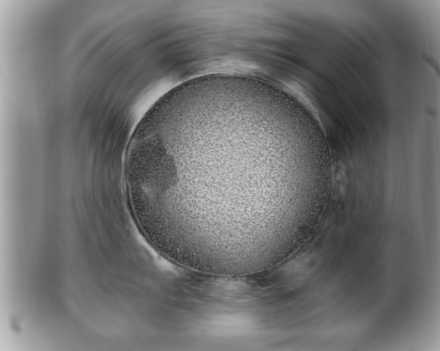 X0000101191103200807071308