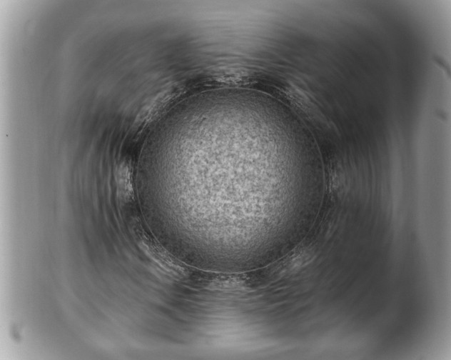 X0000101191106200807071308