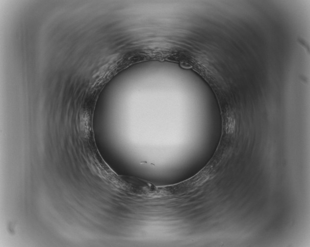 X0000101191108200807071308