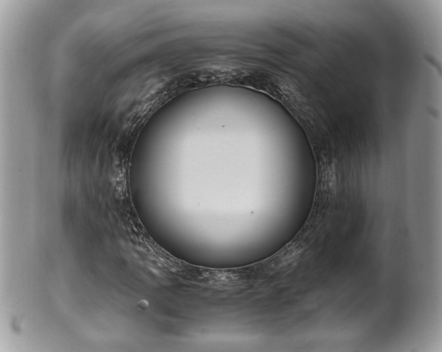 X0000101191109200807071308