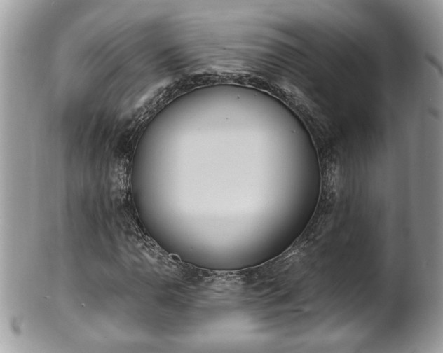 X0000101191110200807071308