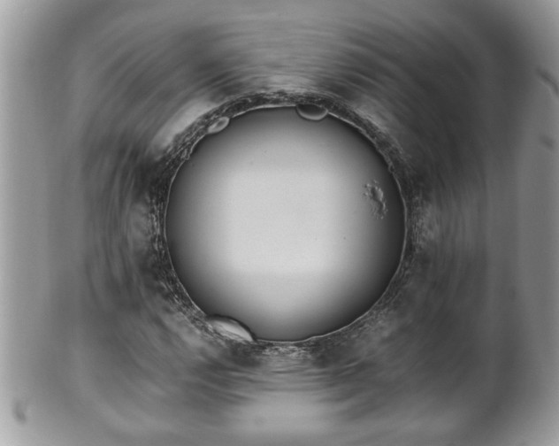 X0000101191112200807071308