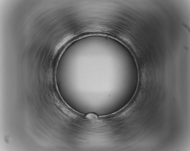 X0000101191114200807071308