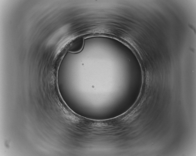 X0000101191115200807071308
