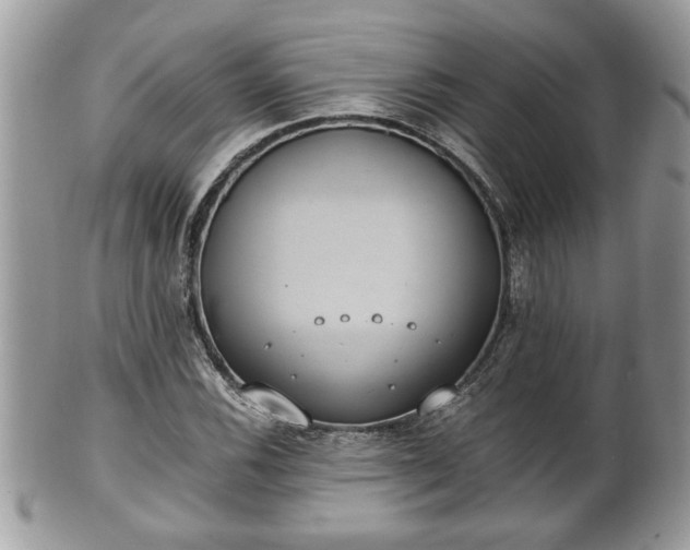X0000101191116200807071308