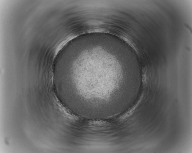 X0000101191117200807071308