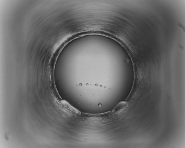 X0000101191118200807071308