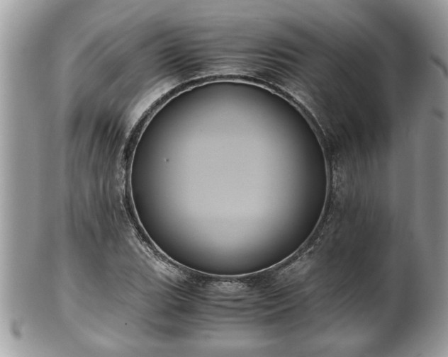 X0000101191119200807071308