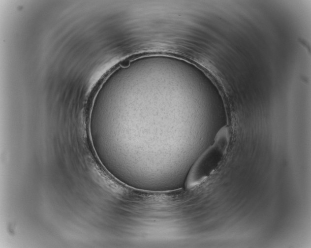 X0000101191120200807071308