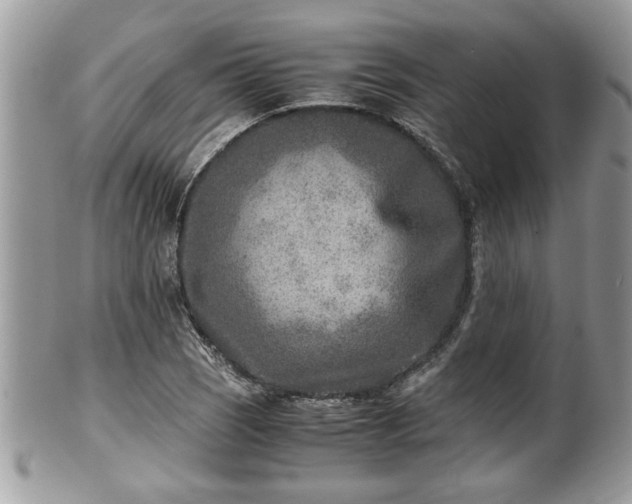 X0000101191121200807071308