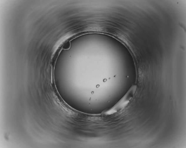 X0000101191123200807071308