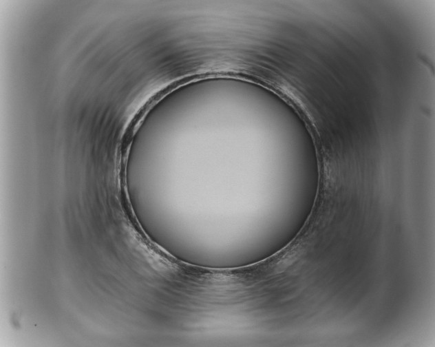X0000101191124200807071308
