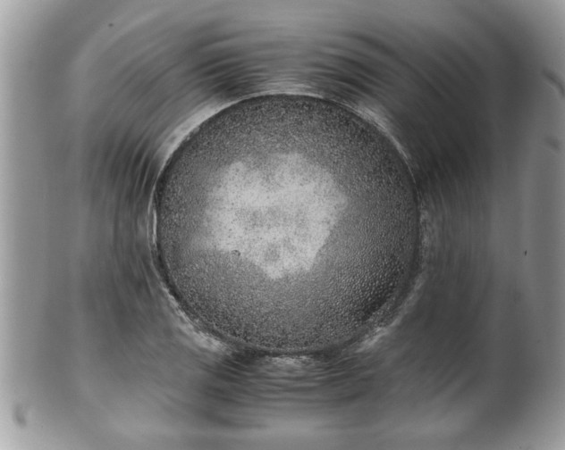 X0000101191125200807071308