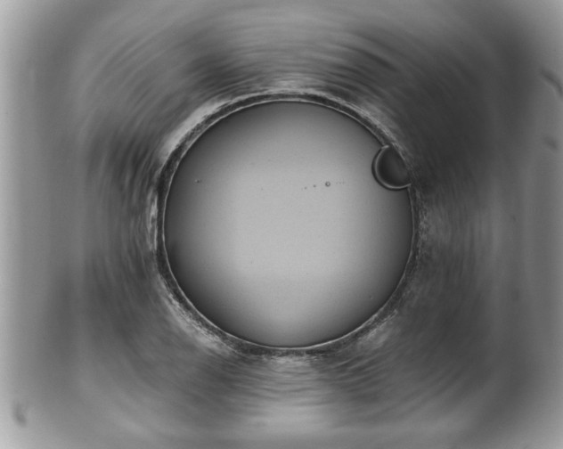 X0000101191126200807071308
