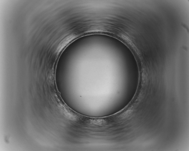 X0000101191129200807071308