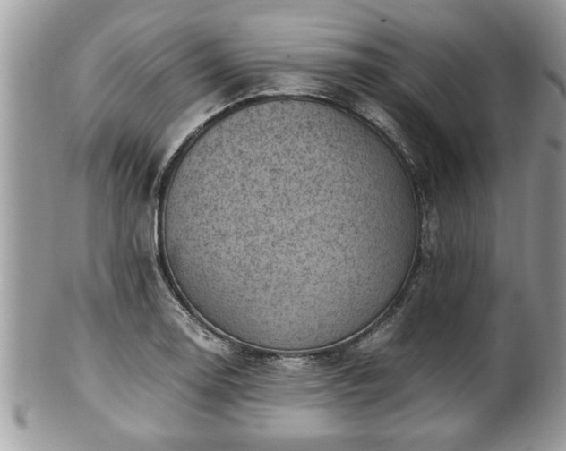 X0000101191130200807071308