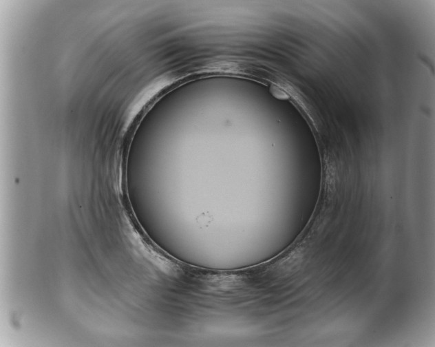 X0000101191131200807071308