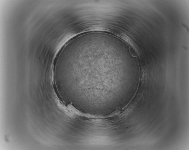 X0000101191132200807071308