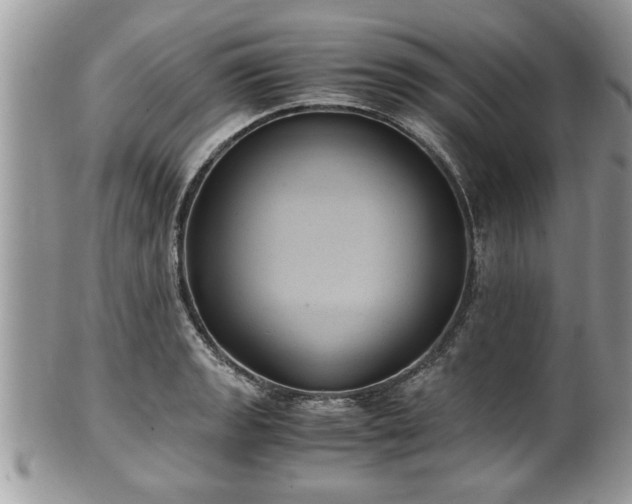X0000101191133200807071308