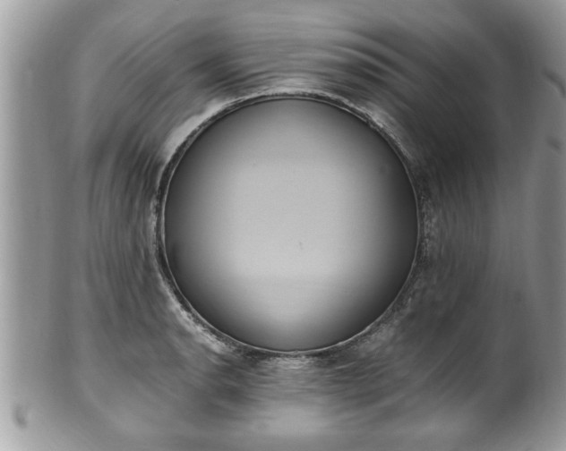 X0000101191134200807071308