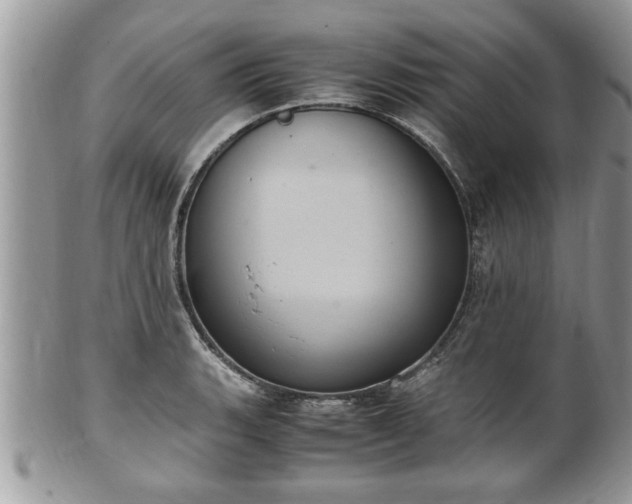 X0000101191135200807071308