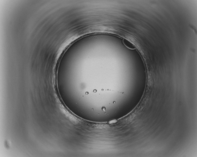 X0000101191136200807071308