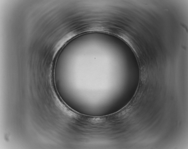 X0000101191139200807071308
