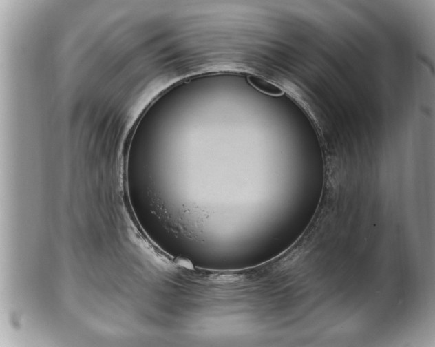 X0000101191140200807071308