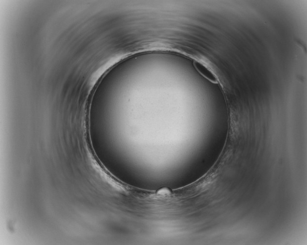 X0000101191142200807071308